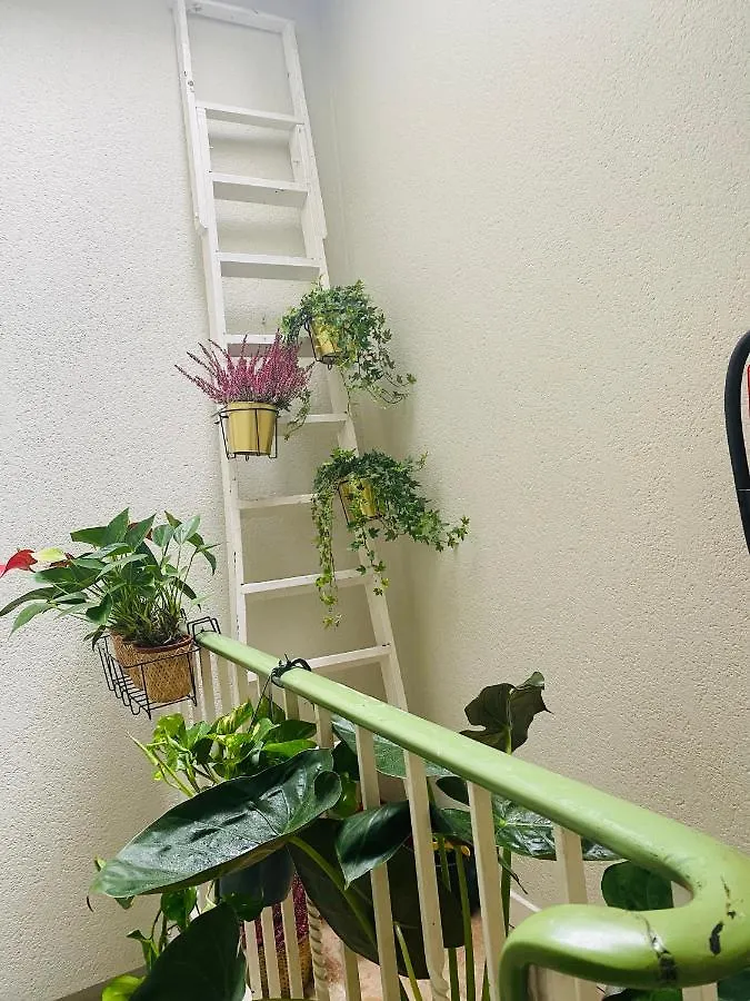 Appartement Ostende 0*,